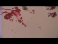 gang fight movie 2: a claymation