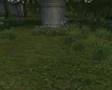 Lineage 2 Gigarent - Elmore Compilation - Tu Ti Overbuffi
