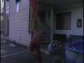 Homelessness & Homeless People in the USA Educational Video