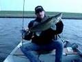 Zander Fishing in the Netherlands Video Shot 27+inch class