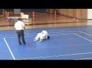 ILH Judo Championship Boys