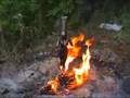 Burn Witch Burn!