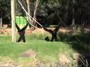 Western Plains Zoo (dubbo) Western Plains Zoo (dubbo)