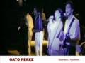Gato Perez-Gitanitos y morenos