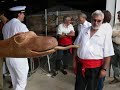 botadura de la araceli