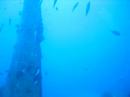 Aruba Video
