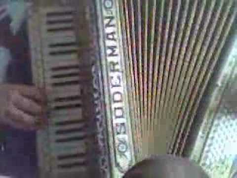 Springende Punkter Accordion 