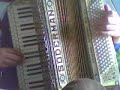 Springende Punkter Accordion 