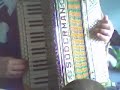 Springende Punkter Accordion 