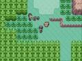 POKEMON BAZZAS TOPAZ- saving giovanni
