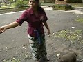 Terry Was Caught by Monkey