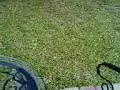 HeMo_Camdriver_3.0