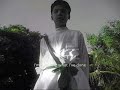 Bio Integrated Project