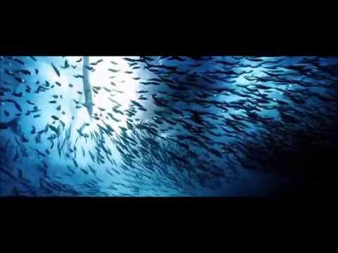 Ocean Pollution - Save Our Marine Life