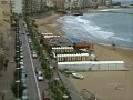 Gabbiani  a Crotone.wmv