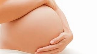 Pregnant Women Should Avoid a High-Fructose Diet!