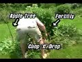Permaculture