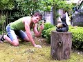 Chime In - Traditions in Rural Japan