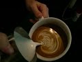 shade tree coffee latte art