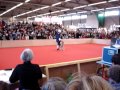 Dogdancing Dogdancing