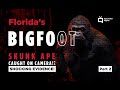 Part 2 Florida Skunk Ape - Animal X Classica Series 2