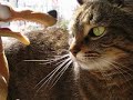 gracie & skrat