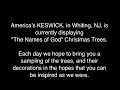 Christmas Trees - Bridegroom.mov