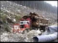 Lidsay Kenyon\" Clearcut Trees\" Lidsay Kenyon\" Clearcut Trees\"