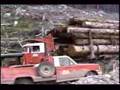 Lidsay Kenyon Clearcut Trees