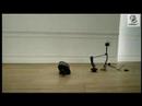 Honda Accord Commercial - Cog Honda Accord Commercial - Cog