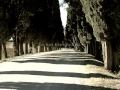 Antiqua Dimora Toscana Antiqua Dimora Toscana