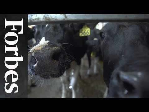 Milking Robots Are Helping A Family Dairy Farm Into The Future