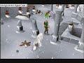 runescape-aviensies guide runescape-aviensies guide