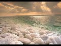 dj shog- hypnotize dj shog- hypnotize