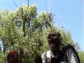 Mayan-Elder-Tata-Ped