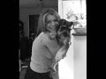 miniature schnauzer holly puppy grooming groomed miniature schnauzer holly puppy grooming groomed