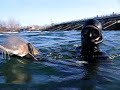Small sturgeon taken with hands, then released. Small sturgeon taken with hands, then released.