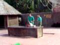 videos de Jungle park tenerife2.AVI
