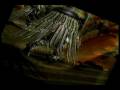videos de Rising Force: Legends