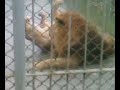 LeOn Y LeOnA P2