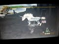 麒麟動画