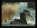 Egadi tra mare e terra Egadi tra mare e terra