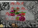 Argort Chion vs. Wyrm Argort Chion vs. Wyrm