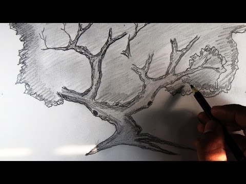 how to draw tree branches