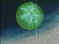 dbz amv bykiller4909 dbz amv bykiller4909