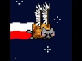 Polish Nyan Cat