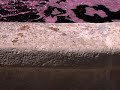 la fuente del vino en cariñena