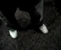 That\ That\