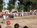 largadas de toiros