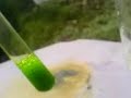 copper in H2O2 and HCl copper in H2O2 and HCl